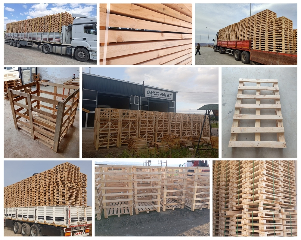Ostend Houten Kisten, Europallets Groothandel Kopen